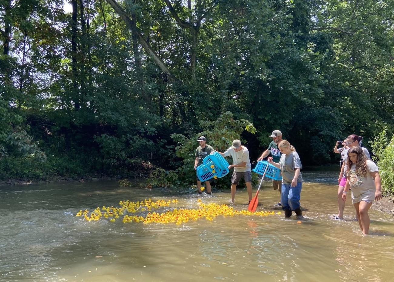 Volunteers standing in shallow waters at Captina Creek in Belmont County Ohio, dumping in yellow rubber ducks for their annual Duck Dash fundraiser.
