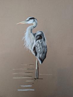 Painting of Big Blue heron