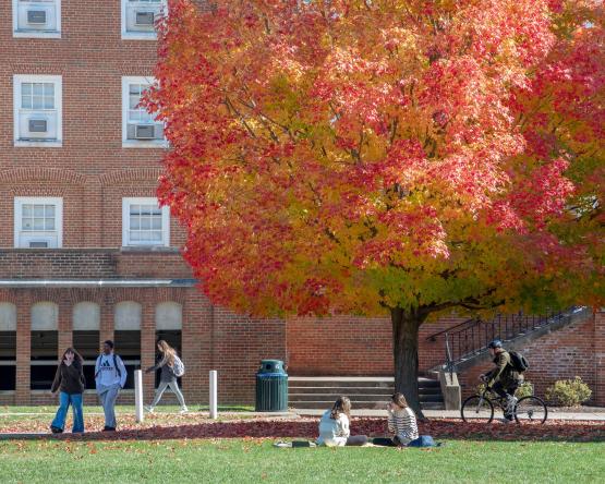 A photo of students on Ohio University's Athens Campus during fall