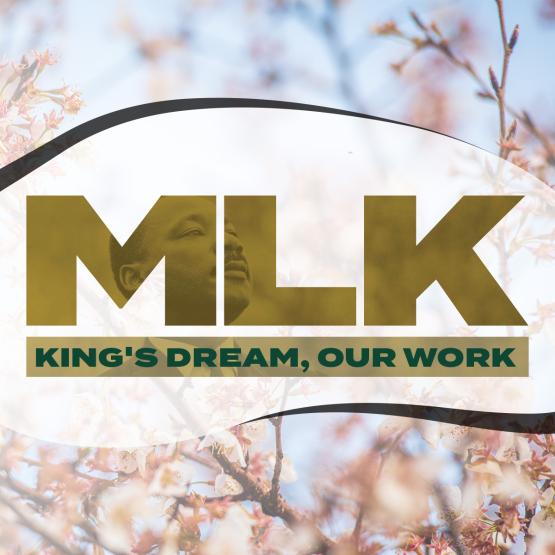MLK: King's Dream, Our Work