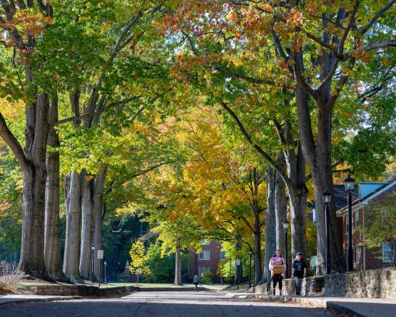 OHIO students walk underneath colorful trees in Fall on OHIO's Athens Campus