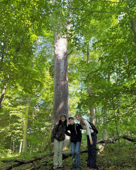 Three females standing together in the woods in front of a larger tree with sunlight peaking through the leaves