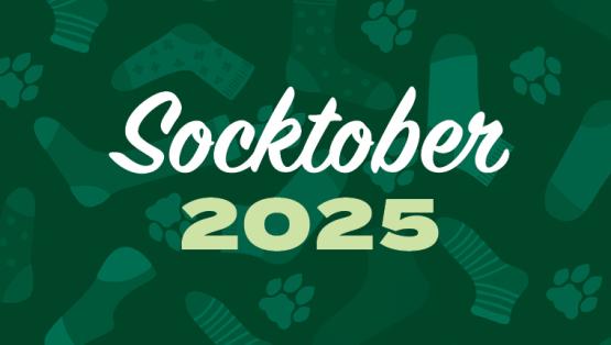 Socktober 2025! Make a donation to the OHIO cause you love and receive a pair of designer socks as a thank you!