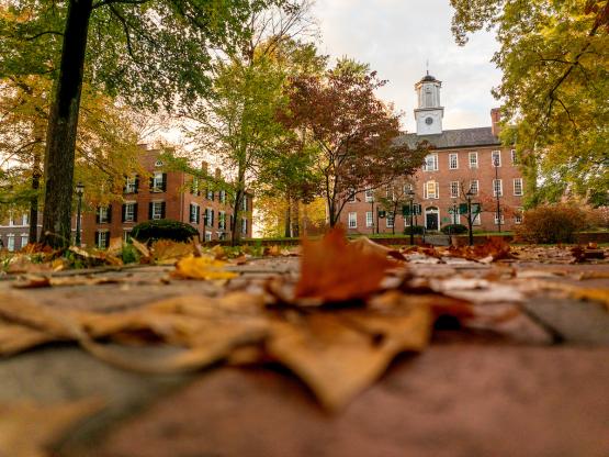 Fall leaves are on the brick pathway in front of Cutler Hall and other buildings on the College Green