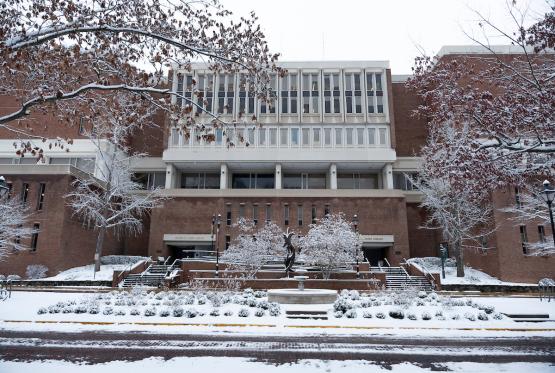 Alden Library and the trees and sidewalks are covered in snow