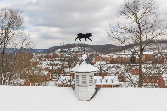 An image of a Bobcat weather vane on top of an Ohio University building, with many other buildings and the hillside in the background covered  in snow