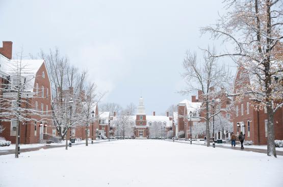 The West Green is shown covered  in snow