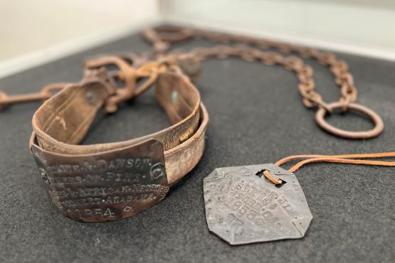 Historical Artifacts, a Slave Collar and Slave Tag from the 1800's