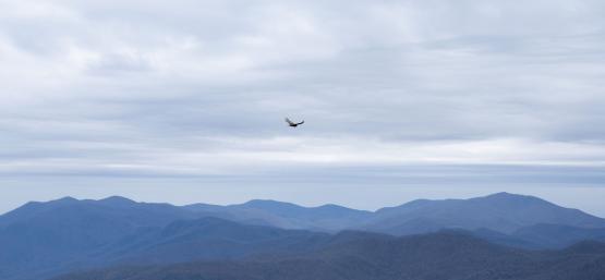 Birds-eye view of the Appalachian Mountains. 