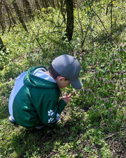 Young boy wearing green hooded coat and grey ball cap crouched down looking at plants along a forest trail