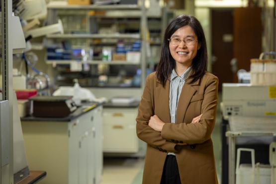 Posed portrait of Shaohua Wang, Ph.D., assistant professor of medical microbiology at the Ohio University Heritage College of Osteopathic Medicine