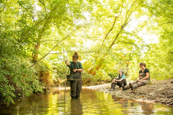 Students with the Voinovich School of Leadership and Public Service test water quality in southeast Ohio.