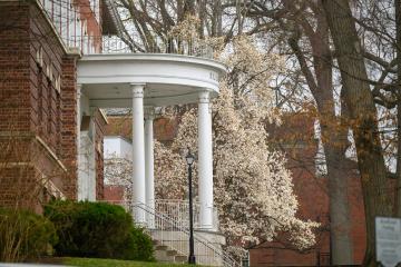 Ellis Hall is shown in the spring surrounded by flowering trees