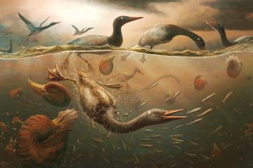 an artist’s rendering of the ancient bird Vegavis, depicted diving for fish among other ancient creatures