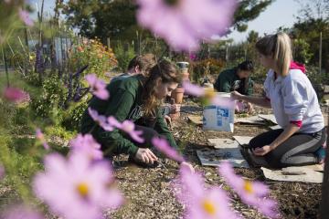 OHIO students work together outside in a garden.