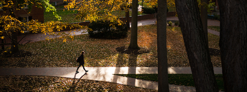 Student walking in college green in fall