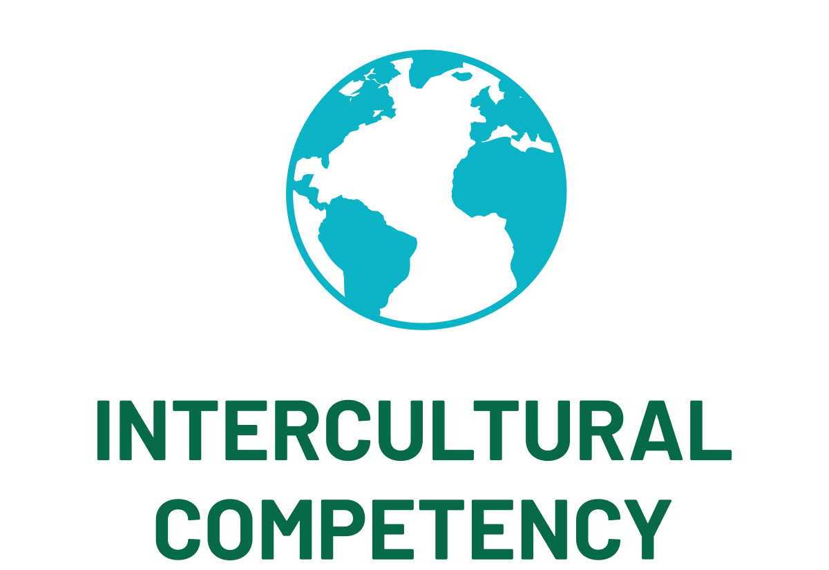 Intercultural Competency icon