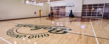 Ping basketball court with Bobcats logo on floor