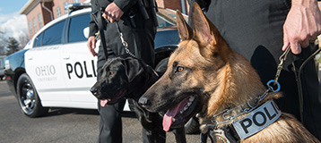 Police dogs and cars