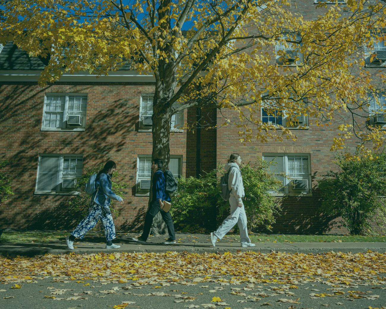 Students walking on a sidewalk in the fall. 