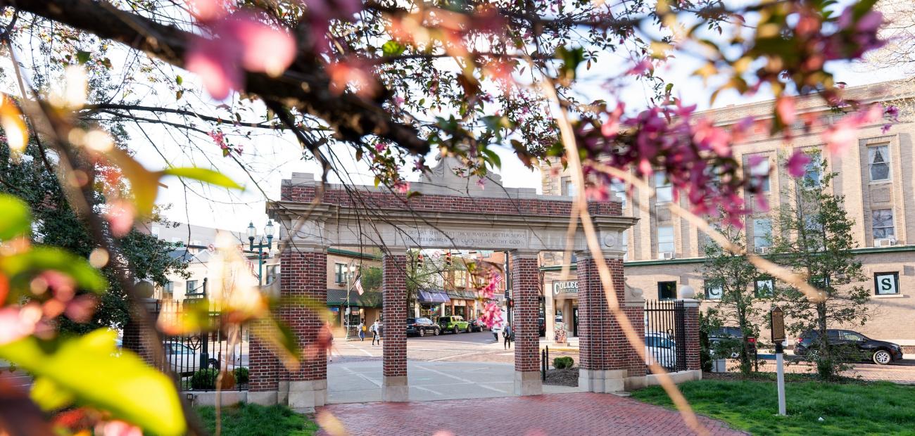 trees blooming in front of the alumni gateway