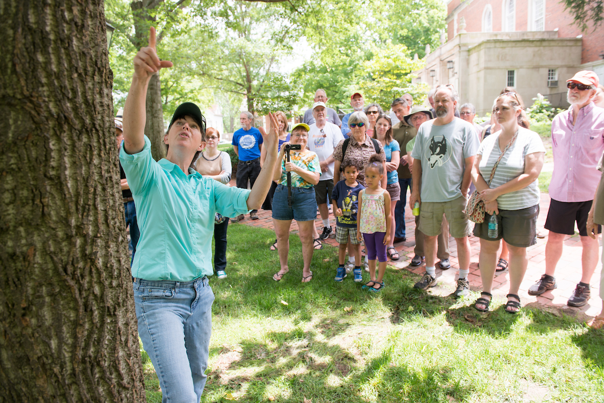 A tour guide teaches a tour group about trees on campus.