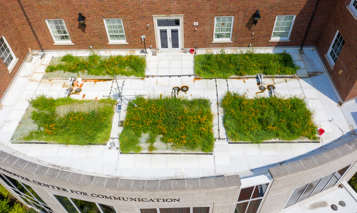 Gardens on the Schoonover Green Roof