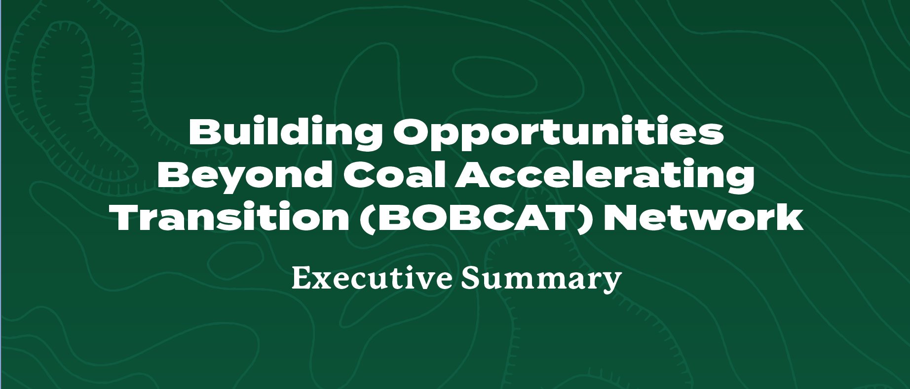 bobcat network cover image
