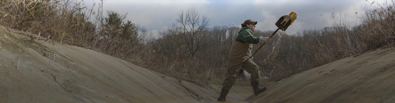 cleaning out a loser ditch