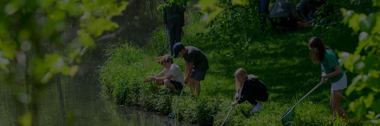 Children fishing along a community stream