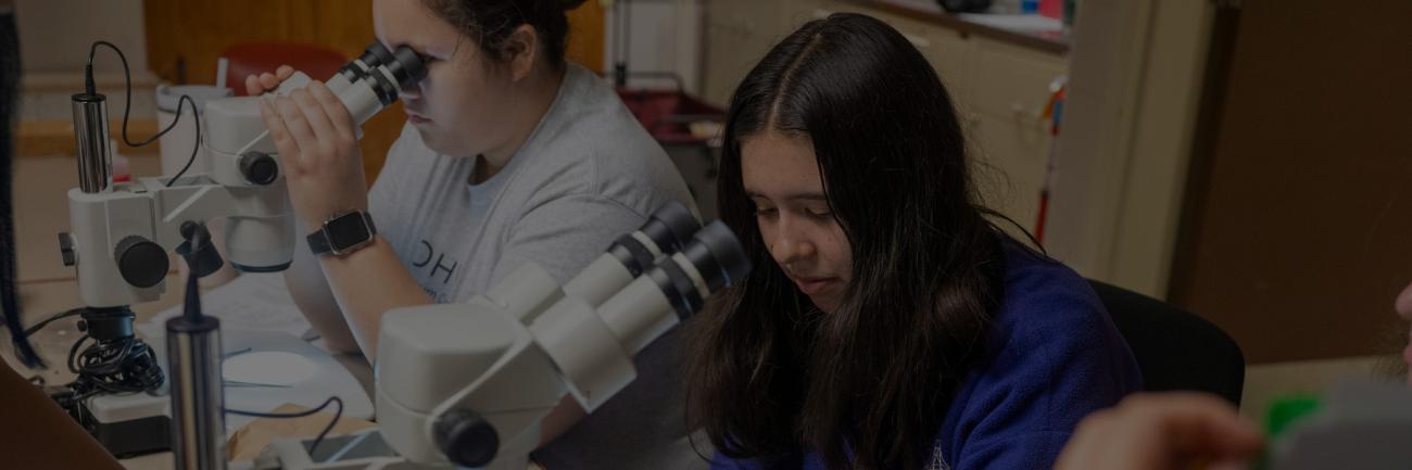 Ohio University students at a STEMstart lesson